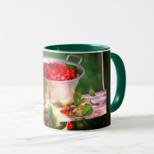 Körsbärsskörd, trädgårdsodling Rosalinde