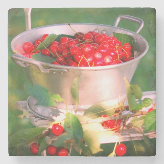 Körsbärsskörd, trädgårdsodling Rosalinde Stenunderlägg (Framsidan)