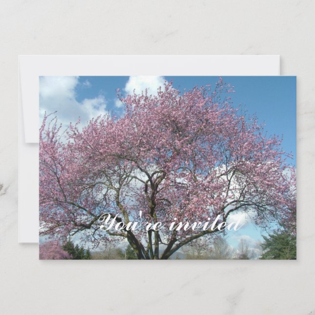 körsbärsträd i blom inbjudningar (Framsida)