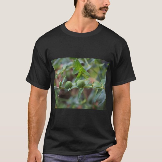 Korsbladig Tulkört Natur T-Shirt (Framsida)