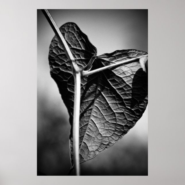 korsfäst hjärta poster (Framsidan)