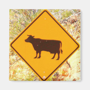 korsning av nötkreatur magnet