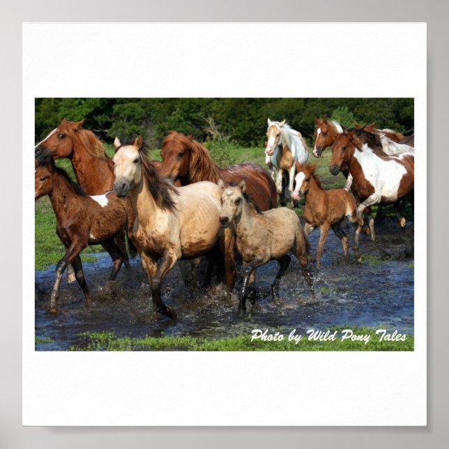 Korsning Poster (Framsidan)