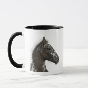 korsningföl mellan en Appaloosa och ett a Mugg