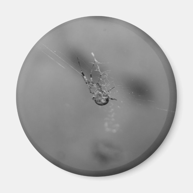 Korsspindel Magnet (Framsidan)
