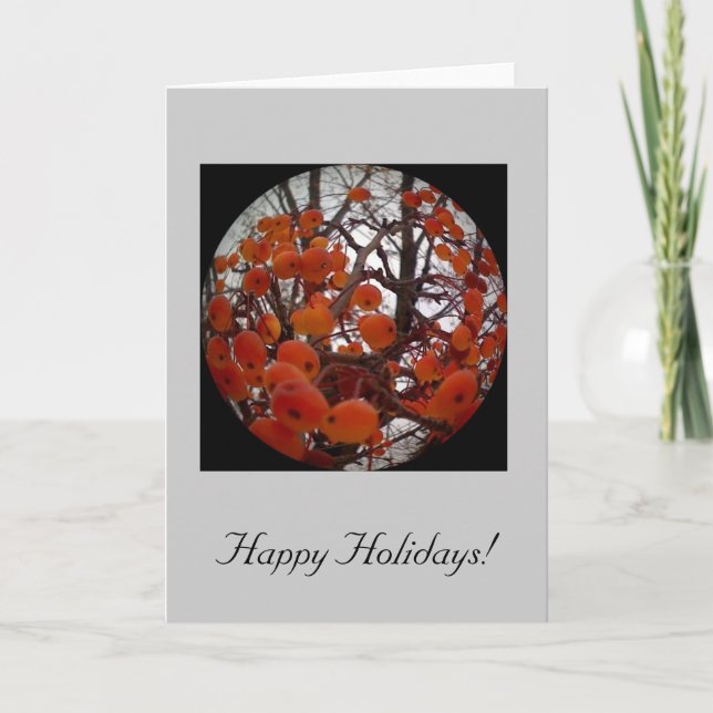 Kort 1 för Abigail vinterrunda (Framsida)