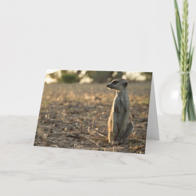 Kort 1 för Zaphod 12:efödelsedag (Framsida)