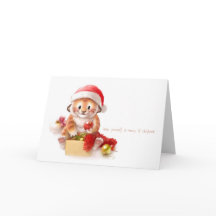 kort 2010 för liltigerjul