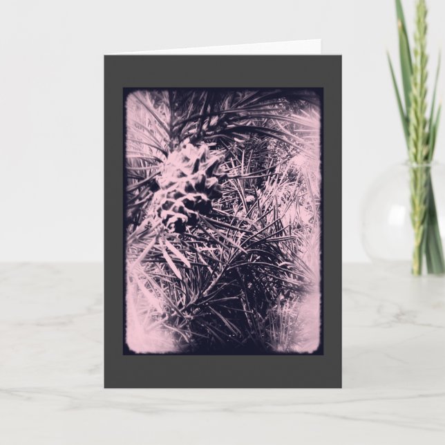 Kort 3 för evergreen 6 (Framsida)