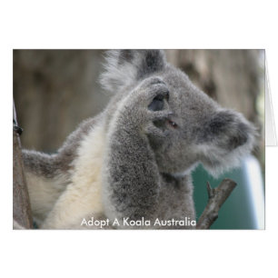 Kort Adoptera en koala Australien tass