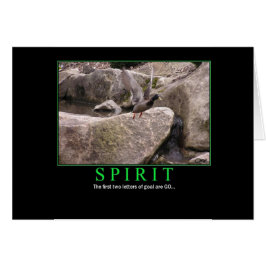 Kort: Ande - fluga - mål: GÅ! OBS Kort