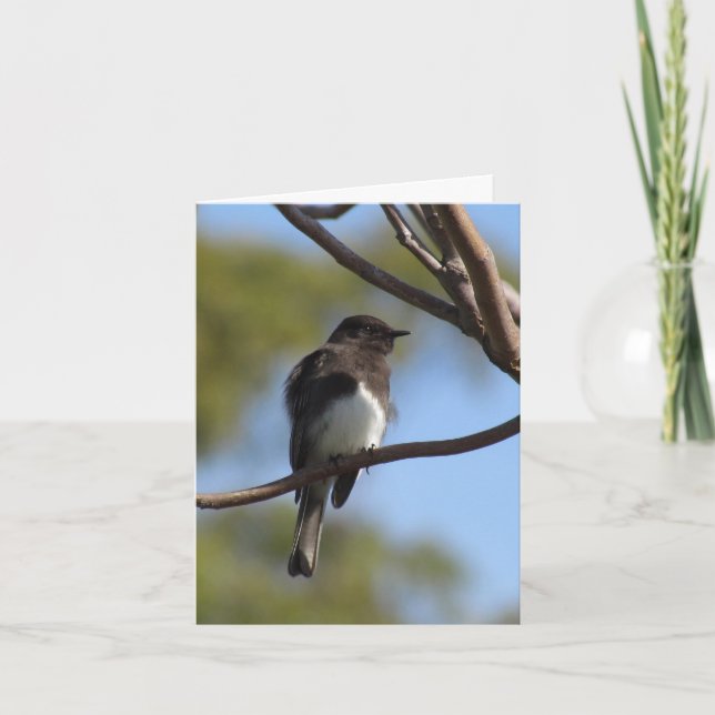Kort - Anteckning - Flytande catcher (Framsida)