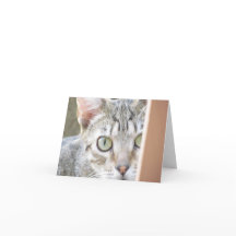 Kort - Anteckning - Forlorn Kitten