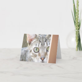 Kort - Anteckning - Forlorn Kitten