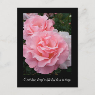Kort är livet, men kärlek är långt (Tennysons cita