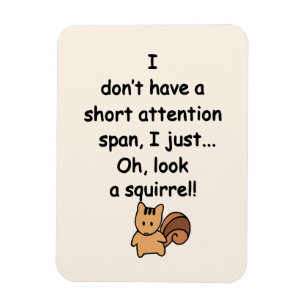 Kort Attention Span Squirrel är flexibel Magnet