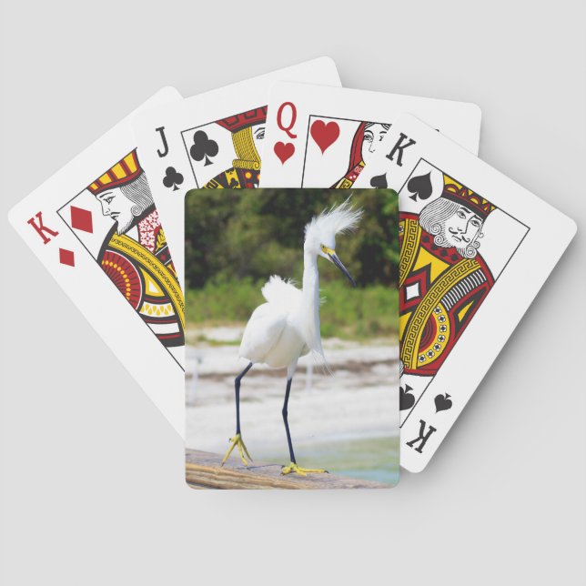 Kort av Windblown Egret Deck Casinokort (Baksidan)