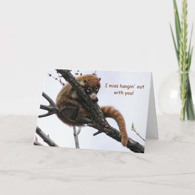 Kort: Coatimundi #5 Kort (Framsida)