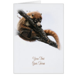 Kort: Coatimundi #5 (Porträtt) Hälsningskort