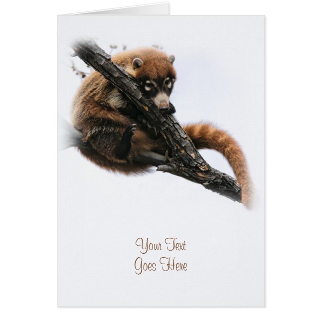 Kort: Coatimundi #5 (Porträtt) Hälsningskort (Framsidan)