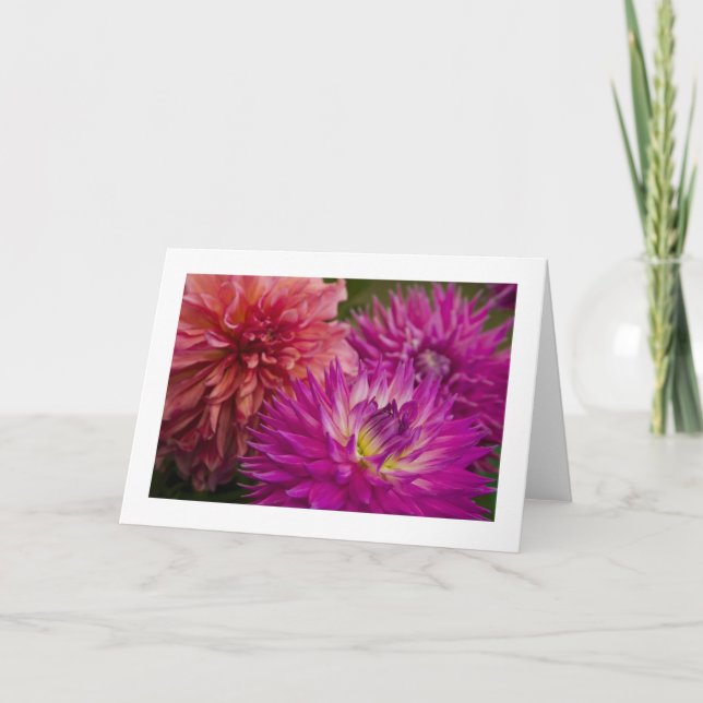 Kort, Dahlia nr 150 Kort (Framsida)