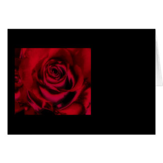 Kort fabulerar, älskar, Flirty