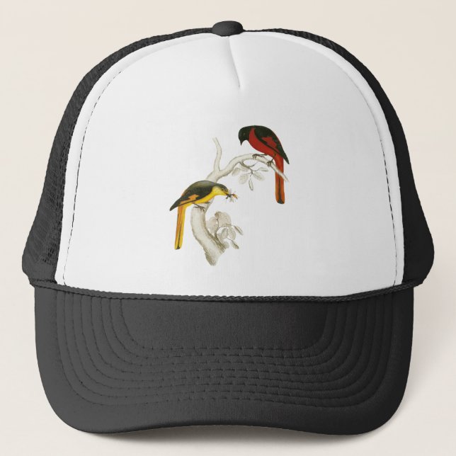 Kort-fakturerade Minivet Keps (Framsida)
