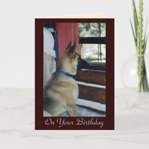 Kort för Abby väntanfödelsedag