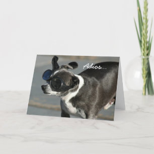 Kort för Adiosgoodbye chihuahuahälsning
