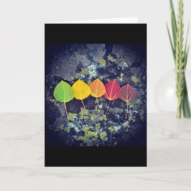 kort för alla och varje säsong (Framsida)