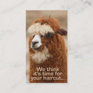 Kort för Alpacahairstylisttidsbeställning