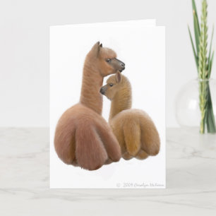 Kort för Alpacakärlekhälsning