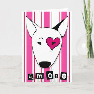 Kort för Amore tjurTerrier