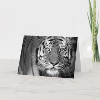 Kort för Amur tiger #1-Greeting