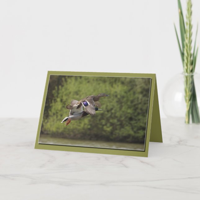 Kort för Ankor (Framsida)