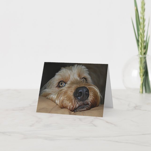 Kort för anpassadetillfällenhälsning (Framsida)