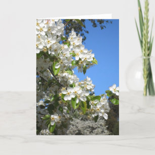 Kort för Apple blommarhälsning