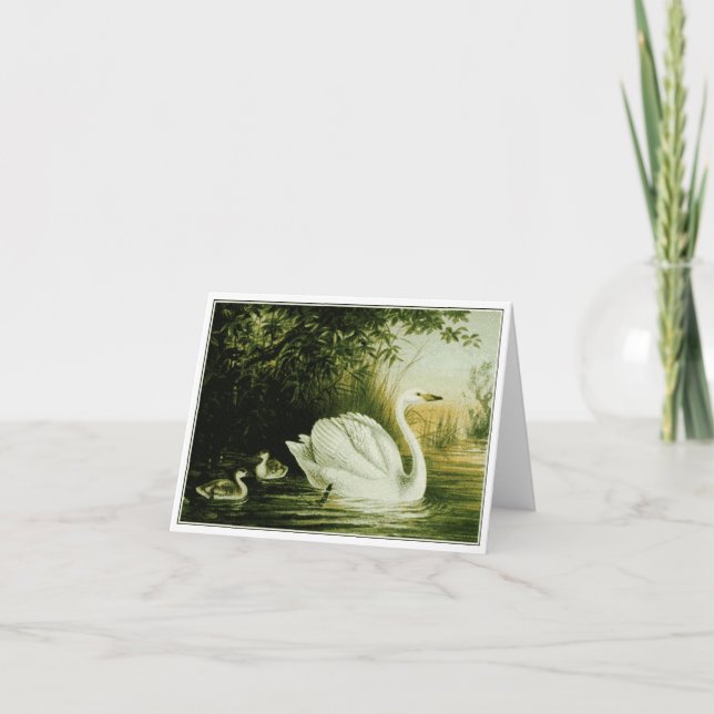 Kort för att anpassa Svan (Framsida)
