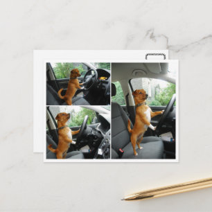 Kort för att gratulera till körkort 