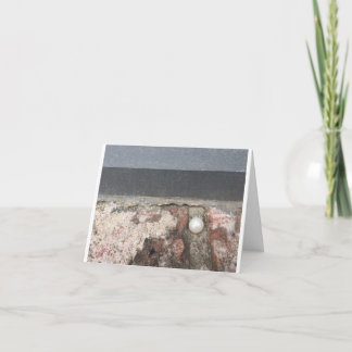 Kort för att säga att de är underbara!