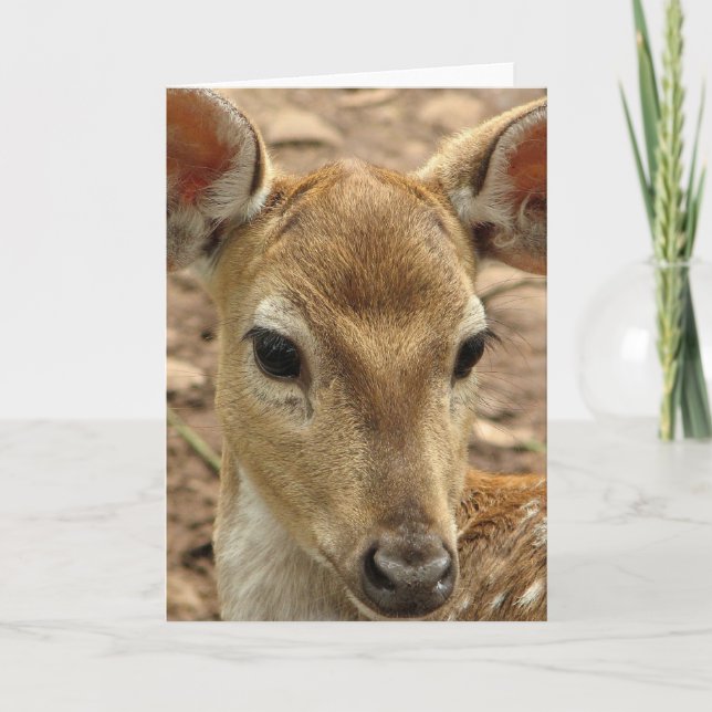 Kort för Bambi hjorthälsning (Framsida)