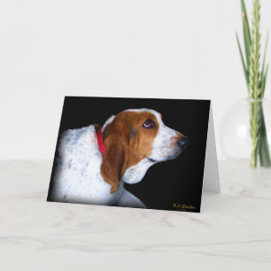 Kort för Bassethundhälsning