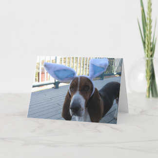 Kort för Bassethundpåsk