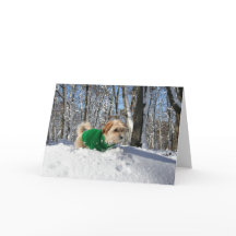 Kort för bergklättrareuppmuntran