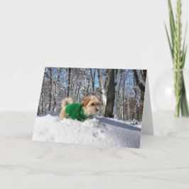 Kort för bergklättrareuppmuntran