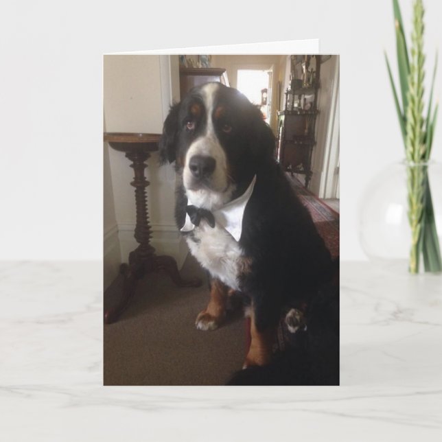 Kort för Berner nationhälsning (Framsida)