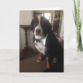 Kort för Berner nationhälsning