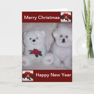 Kort för Bichon frisejul