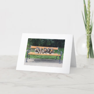 Kort för Bingobjörnhälsning