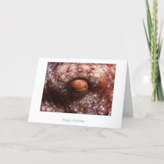 Kort för bläckfiskögafödelsedag